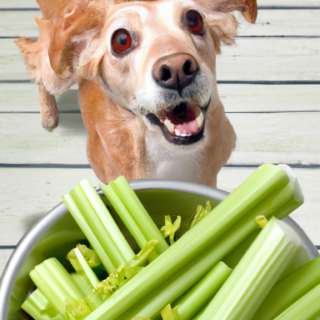 Can Dog Eat Celery Stalk