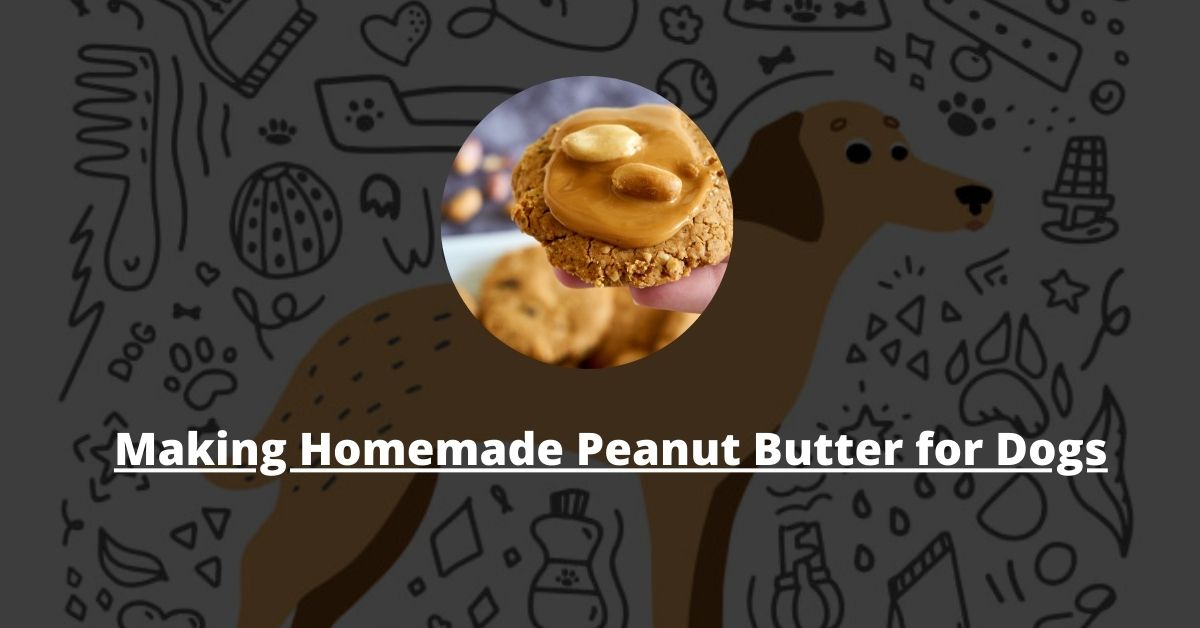 Homemade Peanut Butter for Dogs