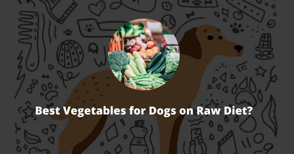 Best Vegetables for Dogs on Raw Diet