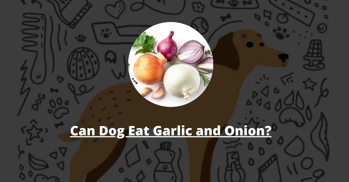 Can Dog Eat Garlic and Onion?