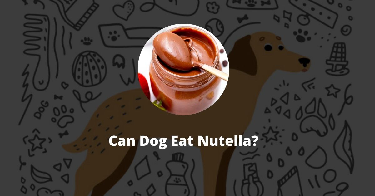 Can Dog Eat Nutella?