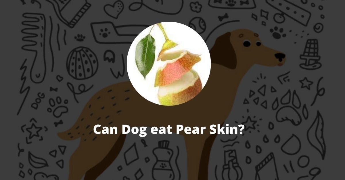 Can Dog Eat Pear Skin?