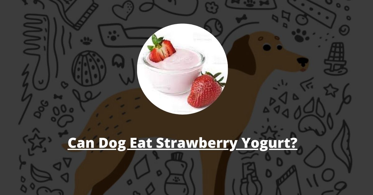 Can Dog Eat Strawberry Yogurt