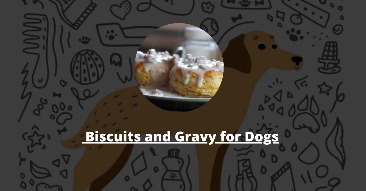 Can Dogs Eat Biscuits and Gravy?