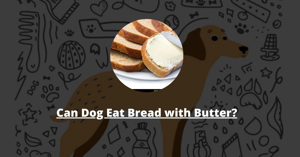 Can Dogs Eat Bread with Butter?