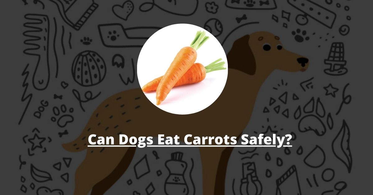 Can Dogs Eat Carrots Safely?