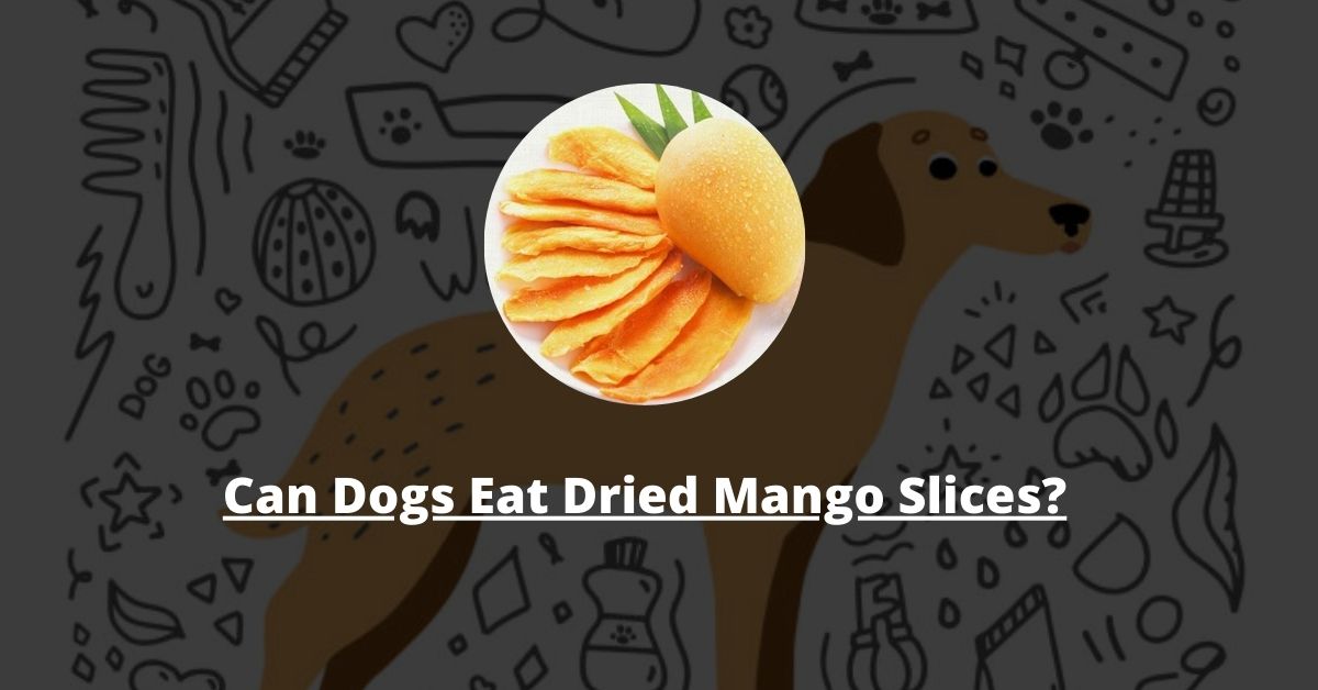 Can Dogs Eat Dried Mango Slices?