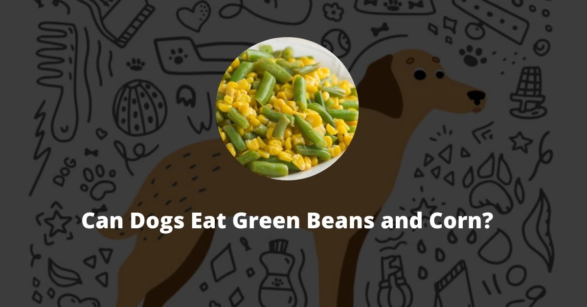 Can Dogs Eat Green Beans and Corn?