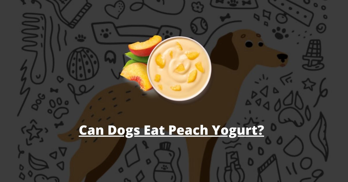 Can Dogs Eat Peach Yogurt