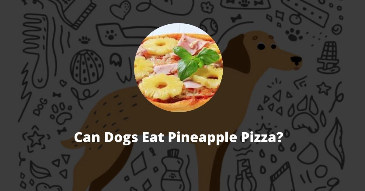 Can Dogs Eat Pineapple Pizza?