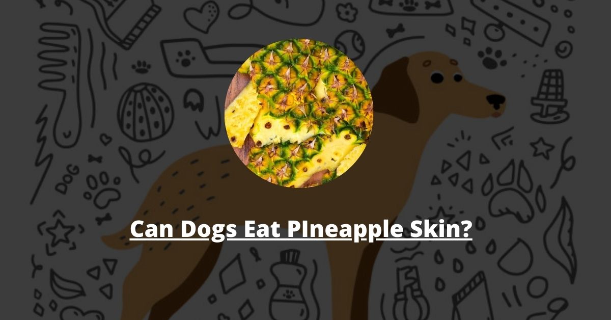 Can Dogs Eat Pineapple Skin?