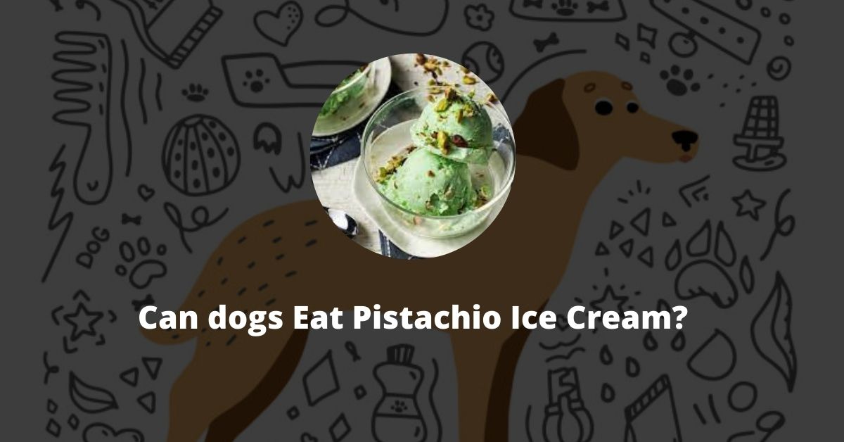 Can Dogs Eat Pistachio Ice Cream?