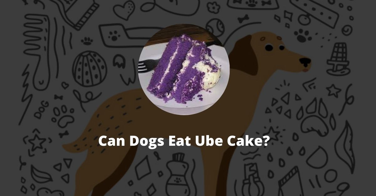 Can Dogs Eat Ube Cake?