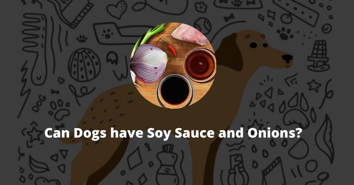 Can Dogs have soy sauce and onions