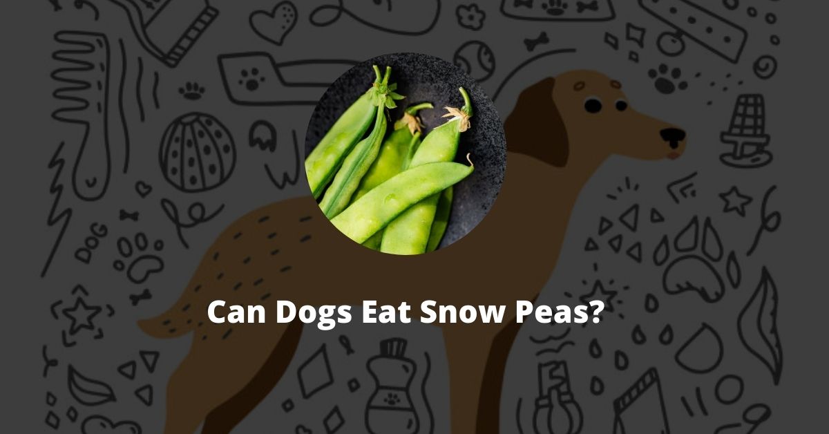 Can Dogs Eat Snow Peas?