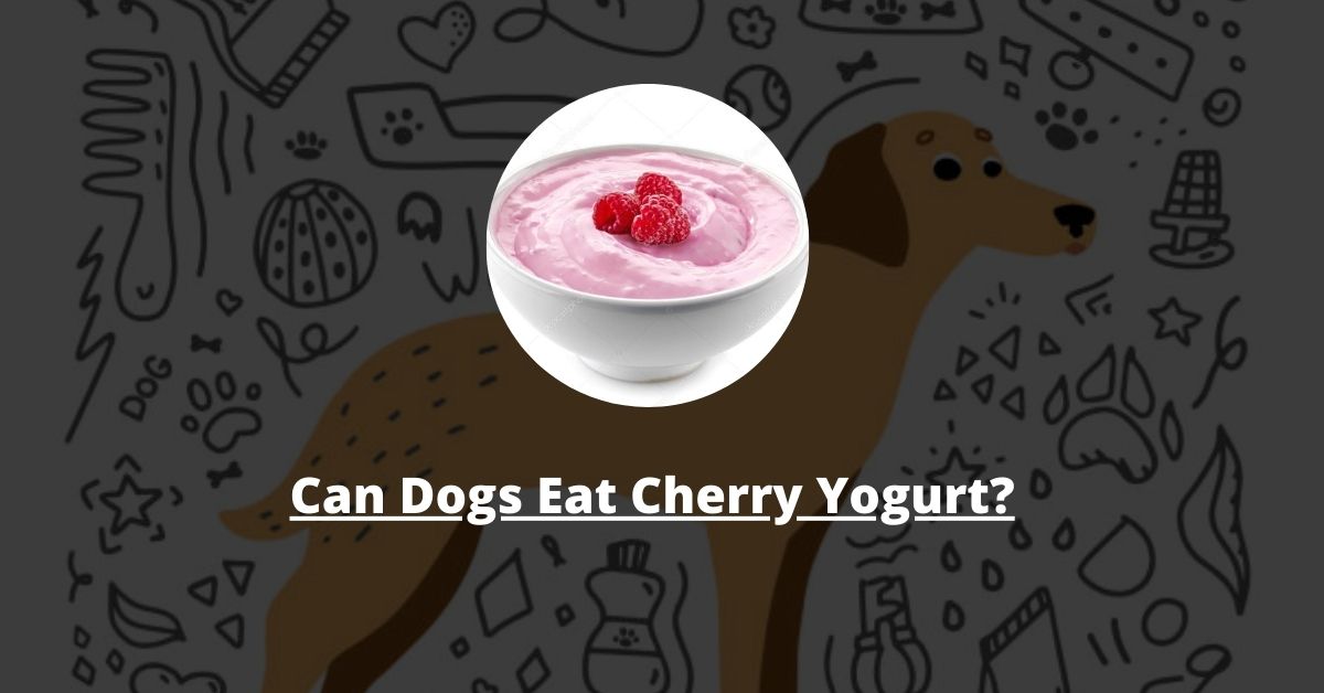 Can dogs eat cherry yogurt