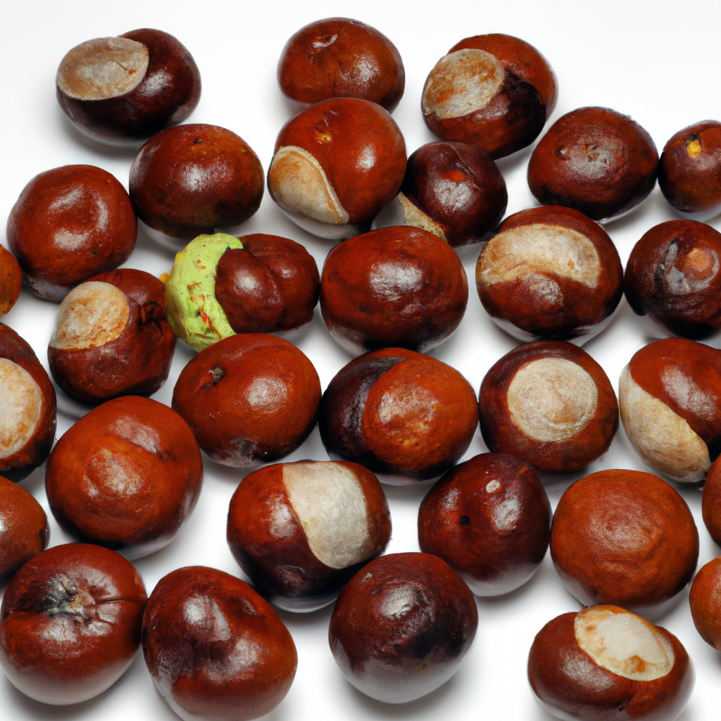 Can dog Eat chestnuts & horse chestnuts?