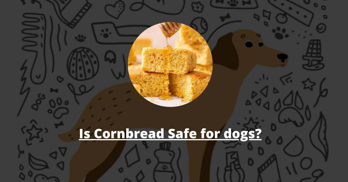 Is Cornbread Safe for dogs
