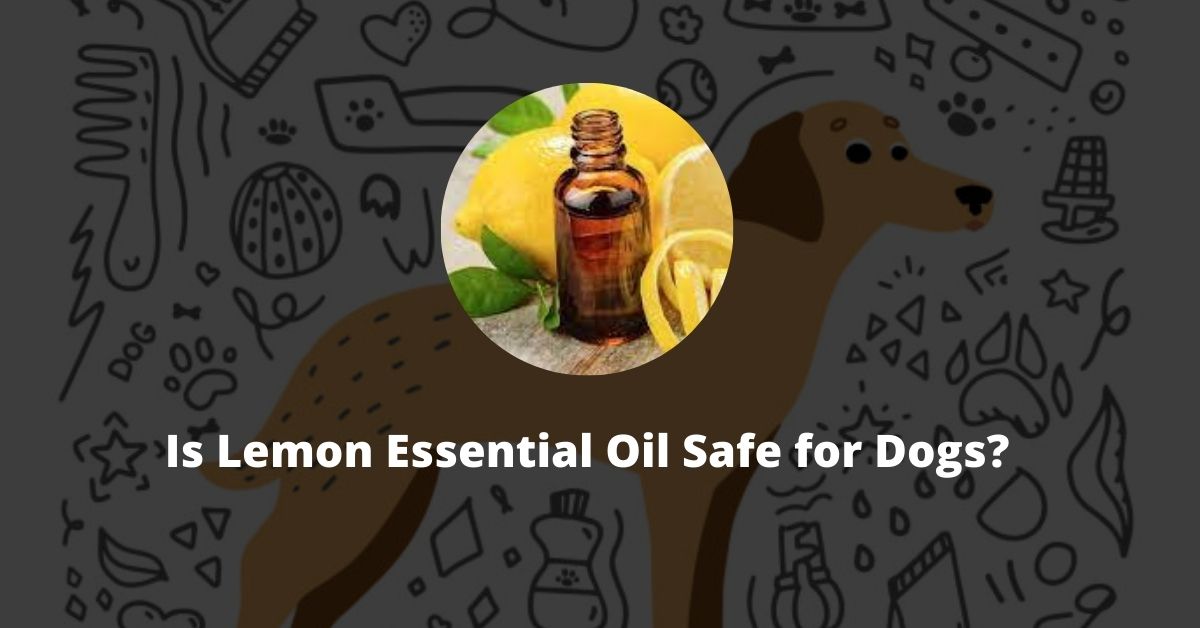 Is Lemon Essential Oil Safe for Dogs
