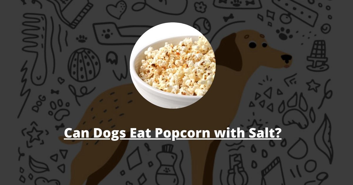 can dogs eat popcorn with salt?