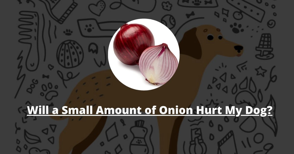 Will a Small Amount of Onion Hurt My Dog